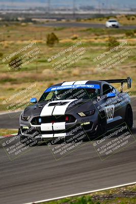 media/Feb-25-2024-Speed Ventures (Sun) [[b9a2a97a4d]]/Mustang Drivers Club/Session 2 (Turn 6)/